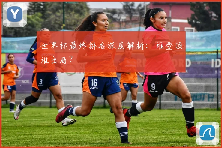 世界杯最终排名深度解析:谁登顶谁出局?