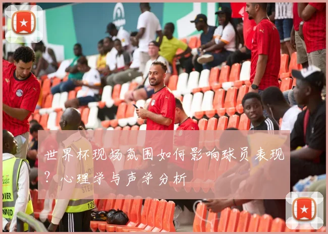 世界杯现场氛围如何影响球员表现？心理学与声学分析
