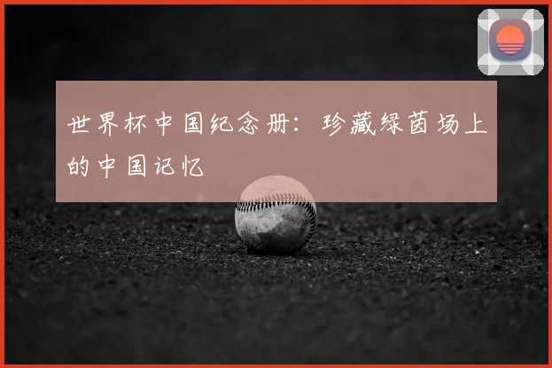 世界杯中国纪念册:珍藏绿茵场上的中国记忆