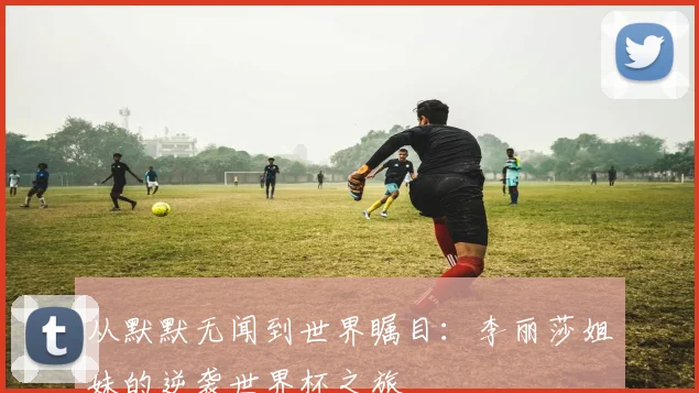 从默默无闻到世界瞩目：李丽莎姐妹的逆袭世界杯之旅