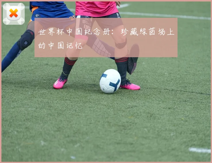 世界杯中国纪念册:珍藏绿茵场上的中国记忆
