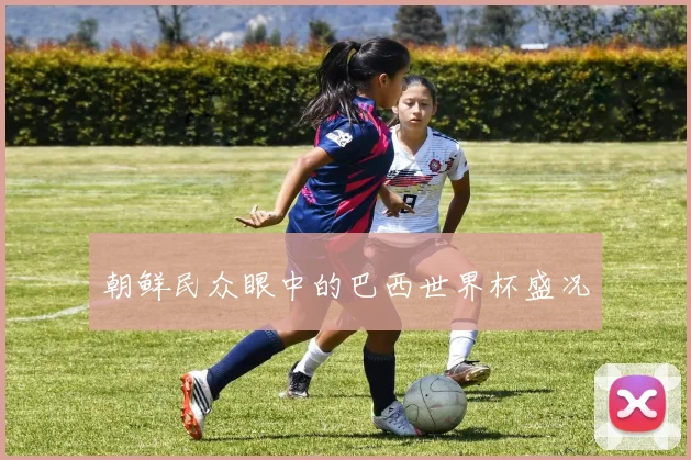 朝鲜民众眼中的巴西世界杯盛况