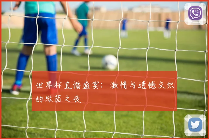 世界杯直播盛宴：激情与遗憾交织的绿茵之夜