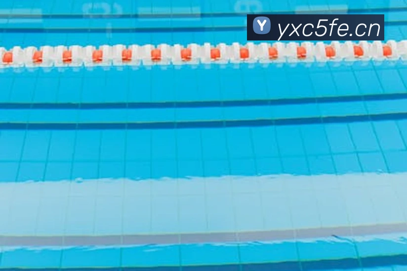 星空体育官方登录入口APP 体育赛事宣传图